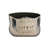 MASQUE POLAIRE